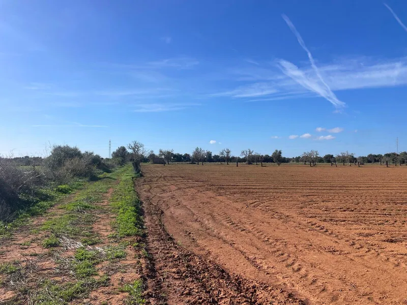 Nice building plot with views of Randaberg, Campos — photo 1