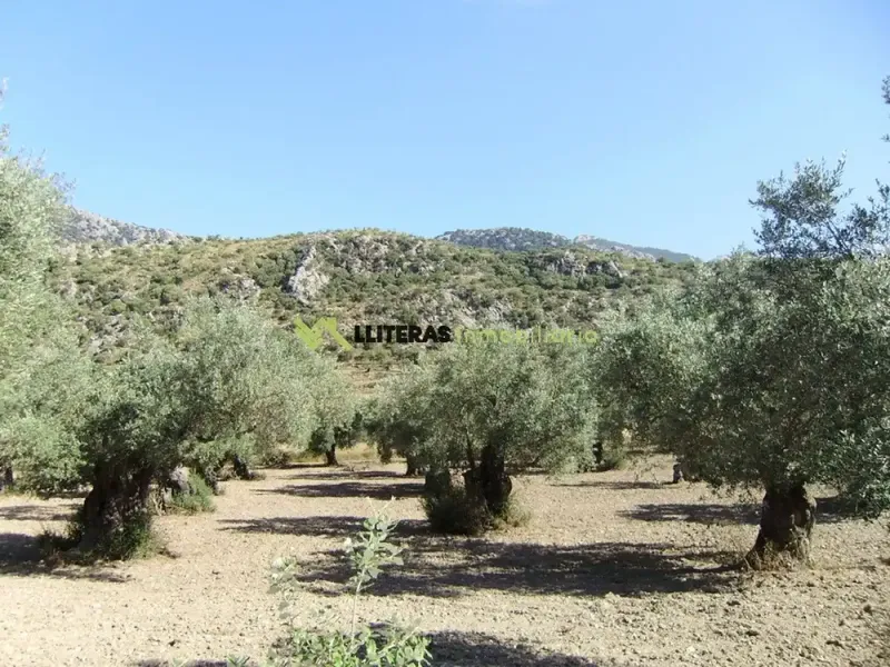 Fantastic estate in the valley between Alaro and Orient, in a paradisiacal setting surrounded by mountains. With an area of more than 50,000 m2 and u — photo 4