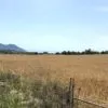 Plot near Son Servera with sea views UP009 — photo 11