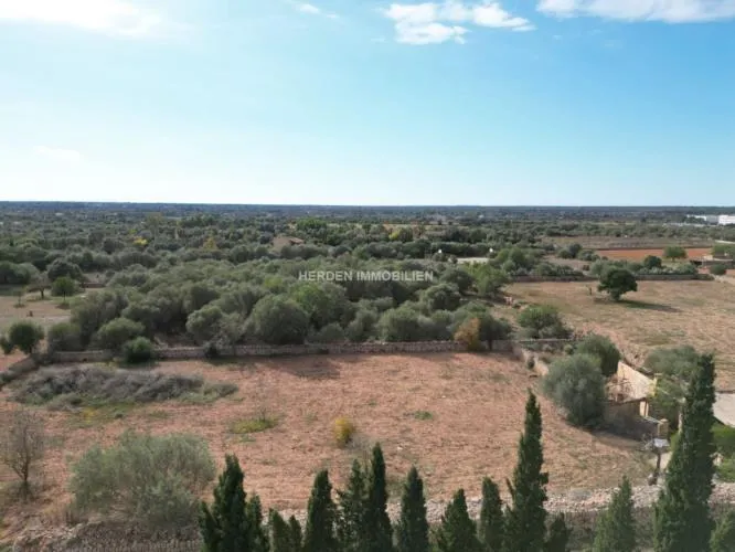 Building Plot for Sale in Llucmajor — photo 4