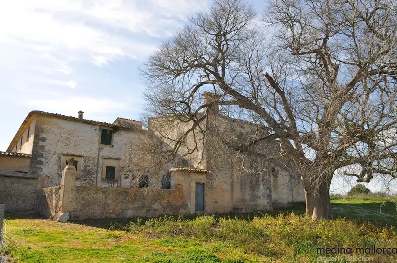 Rustic finca with character in Montuïri — photo 9