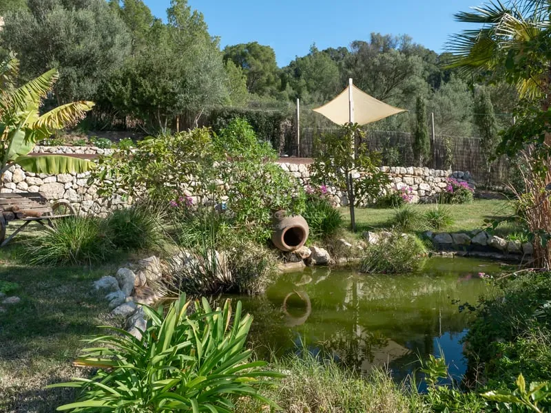 Mallorcan Finca for Sale in S'Arraco — photo 5