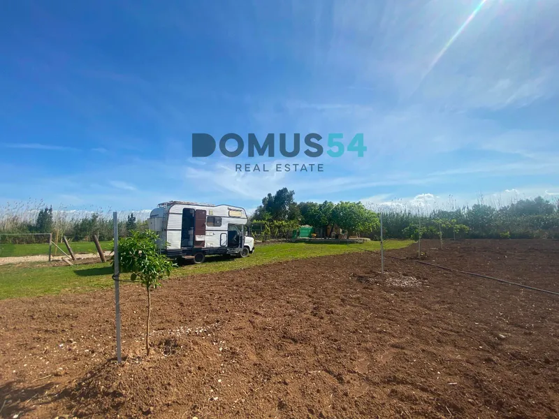 plot in Sa Pobla — photo 9
