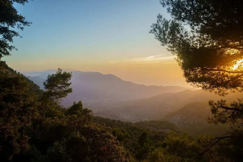 Land in Mancor de la Vall, Province of Balearic Islands — photo 3