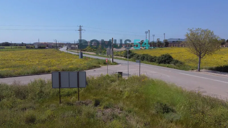 plot in Sa Pobla — photo 5