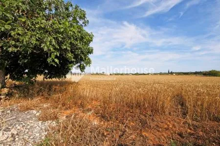 Urbanizable land - Muro (Son Serra), Plot Surface 15,324 m² — photo 2
