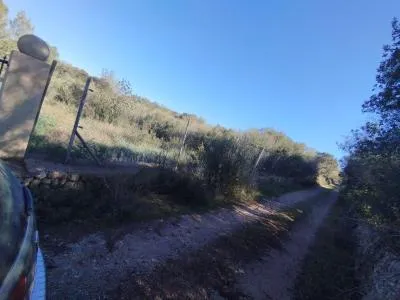 Rustic Land - Sencelles (Es Ravellar), Built Surface 6m², Plot Surface 7100m², Distance to the Sea 20... — photo 2