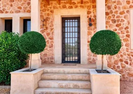 Rustic property - Llucmajor (Llucmajor Interior) , Built Surface 678m 2 , Plot Surface 63.877m 2 , 6... — photo 5