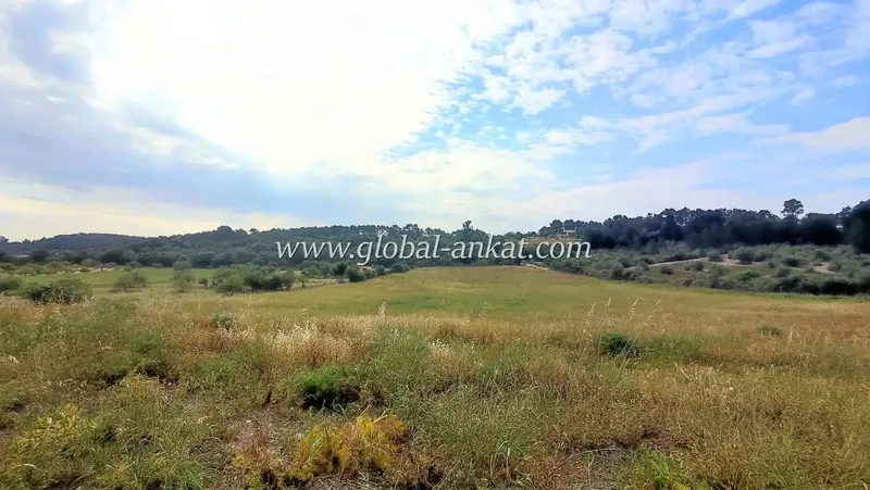Developable plot in the village of Sant Joan about 20 kilometers from Manacor — photo 11