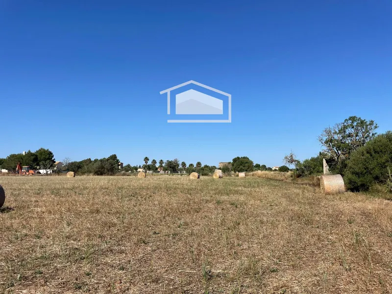 Rustic buildable finca in Campos with water, electricity and asphalt access — photo 6