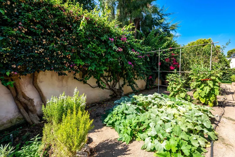 Charming Mediterranean villa with generous outdoor area — photo 8