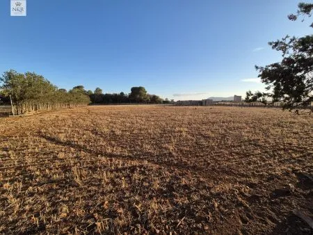 Rustic property in Muro, 140 m² built, 18,400 m² plot, 1 room, 1 bathroom — photo 7