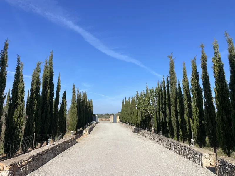 Impressive finca with holiday rental license near Llucmajor — photo 6