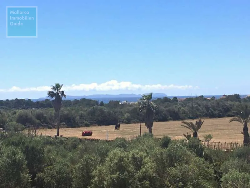 Campos, finca with guest house near the sea — photo 6