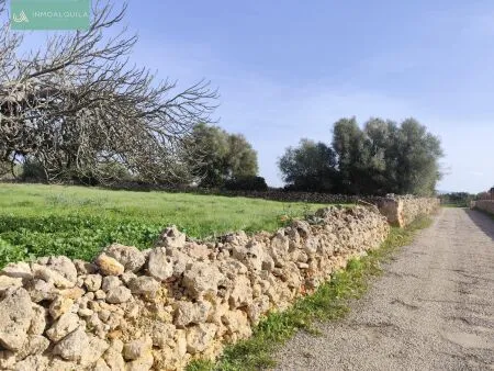 Rustic property - Santa Margalida, Built Surface 50m², Plot Surface 15767m², 1 Room, 1 Bathrooms — photo 3