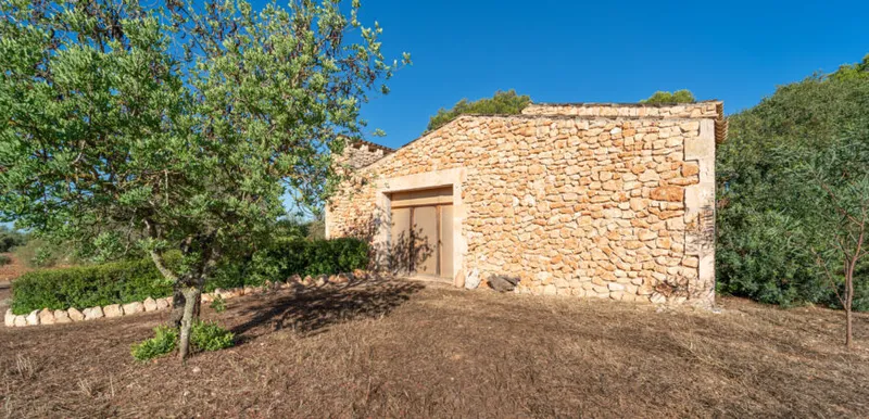 Country house for sale in Campos with land, orchard and own well — photo 12