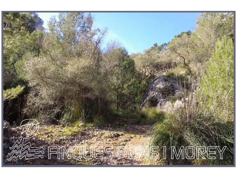 Land - Ref. [redacted] — photo 7