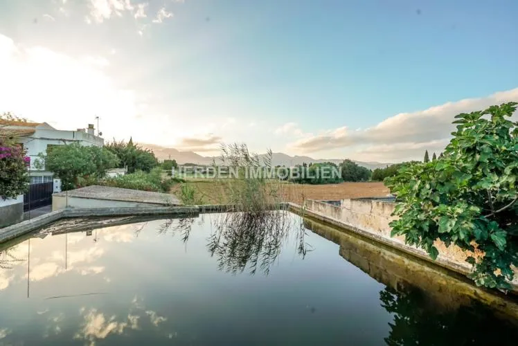 Spacious building plot for sale in Muro, Mallorca — photo 4