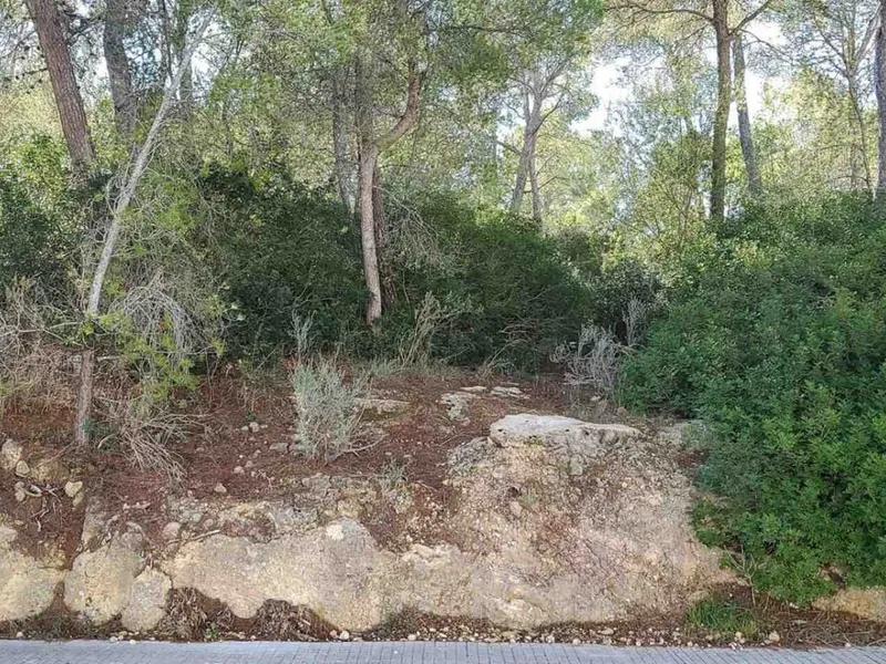 Land in Cala Vinyes, Mallorca — photo 2