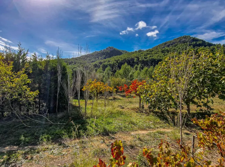 Ref. 2435C – Es Capdella – Beautiful finca with fantastic mountain views — photo 9