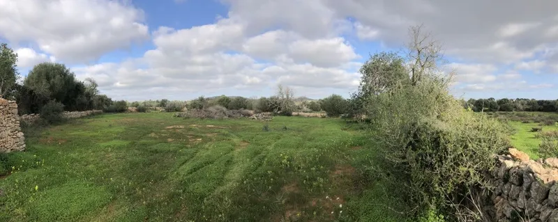 Plot of land with a project of 312m2 located between Santanyi and S'Amarador beach — photo 1