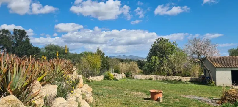 Finca for sale 3 km from Manacor — photo 4