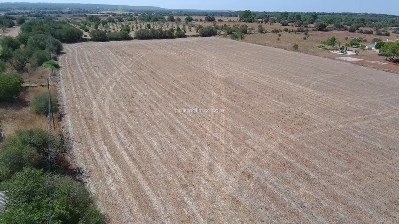 Countryside property in Campos — photo 5