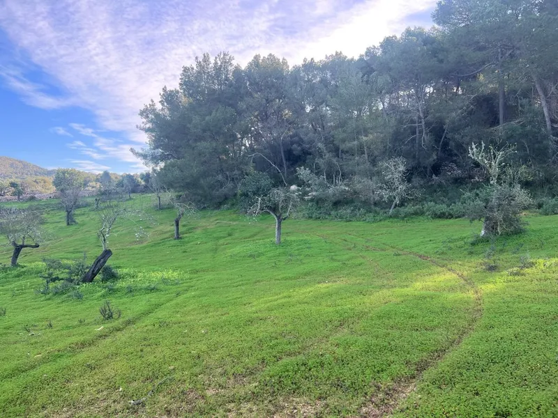 Rural plot — photo 1