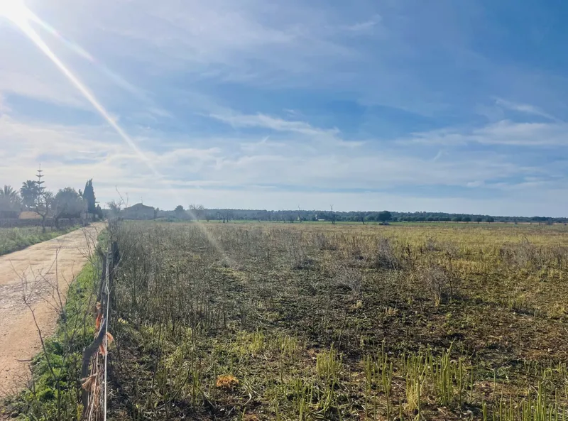 Buildable plot in Campos with basic project — photo 9
