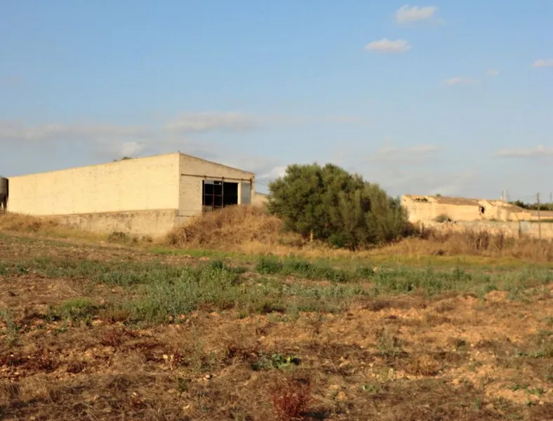 Large plot with several buildings between Campos and Llucmajor — photo 6