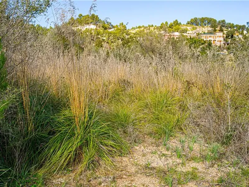 Land in Galilea, Mallorca — photo 4