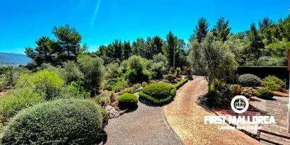 Real estate picture 0 Ref. No. 79701 — photo 7