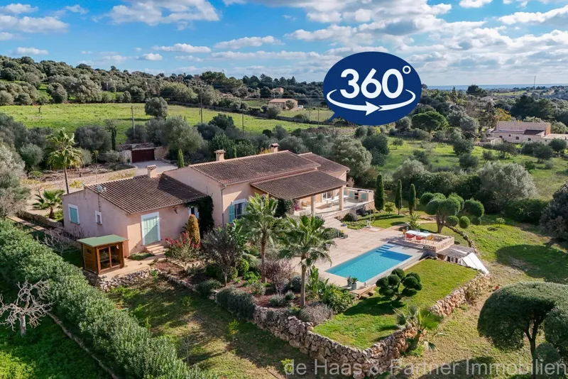 16,156m² finca with 8 rooms, pool and terrace for sale — photo 2