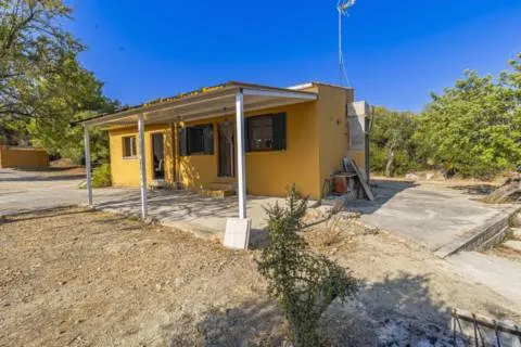 Detached house — photo 1