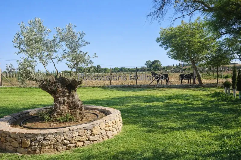 In the heart of one of the most coveted areas of Palma's coastline, between El Molinar and Coll d'en Rabassa, this large historic estate emerges — photo 9