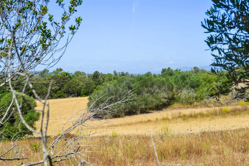 Llubi – Building plot with 35,032 m2 of land without project — photo 11