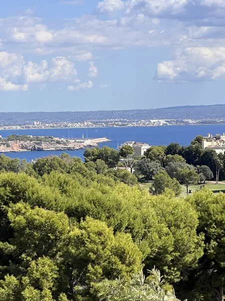 Prestigious Anchorage Hill Residence with Spa, Privacy, and Bay of Palma Views — photo 4