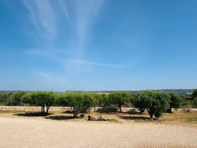 Discover this charming romantic finca located just 10 minutes from the vibrant city of Manacor and very close to the prestigious school — photo 7