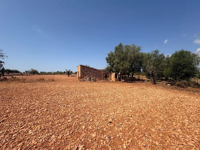 FINCA RUSTICA CON CASITA AGRARIA DE UNOS 34M2 CON CISTERNA — photo 3