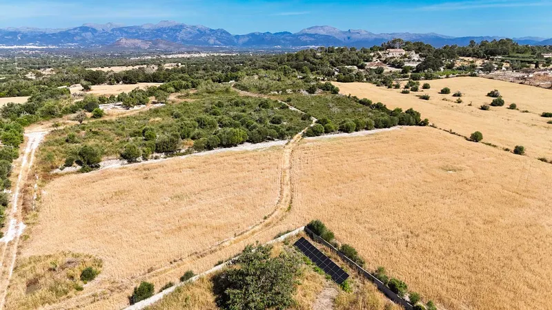 Llubi – Building plot with 35,032 m2 of land without project — photo 1