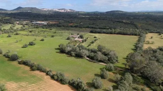 House with land - Porreres (Outskirts) — photo 4