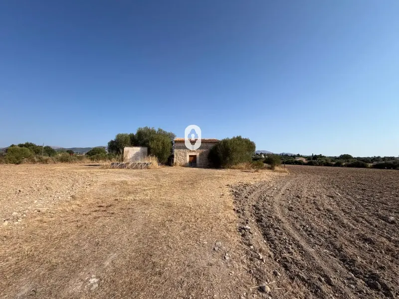 Inmoclaus presents this rustic finca located on the outskirts of Inca with quick access to the highway connecting Palma and Alcúdia. — photo 4