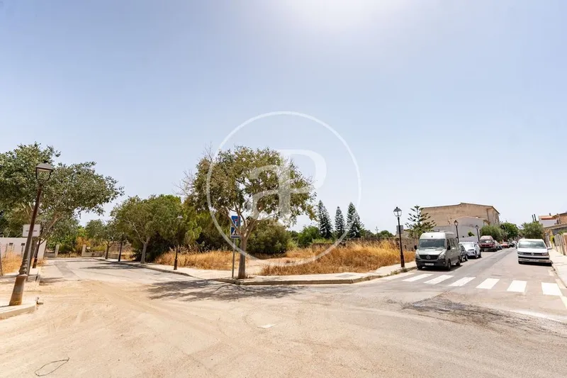 Land in Binissalem, Province of Balearic Islands — photo 1