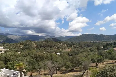 Village house in Campanet, Mallorca — photo 7