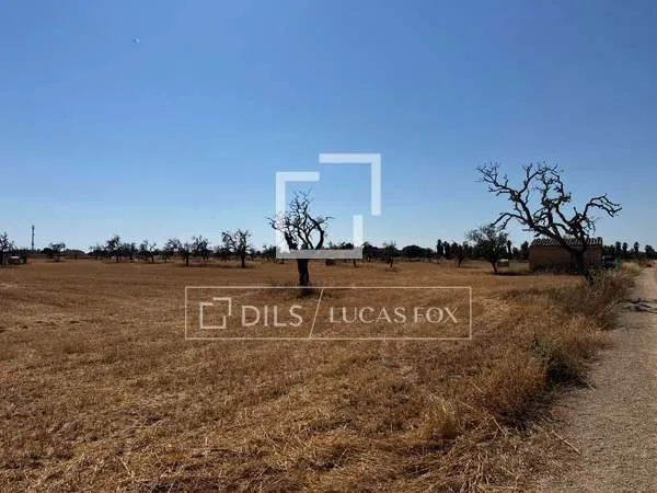 19,544m² plot with 19,544m² garden for sale in Campos — photo 6