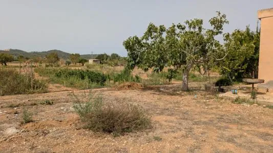 Rustic property - Porreres (Afueras) — photo 6