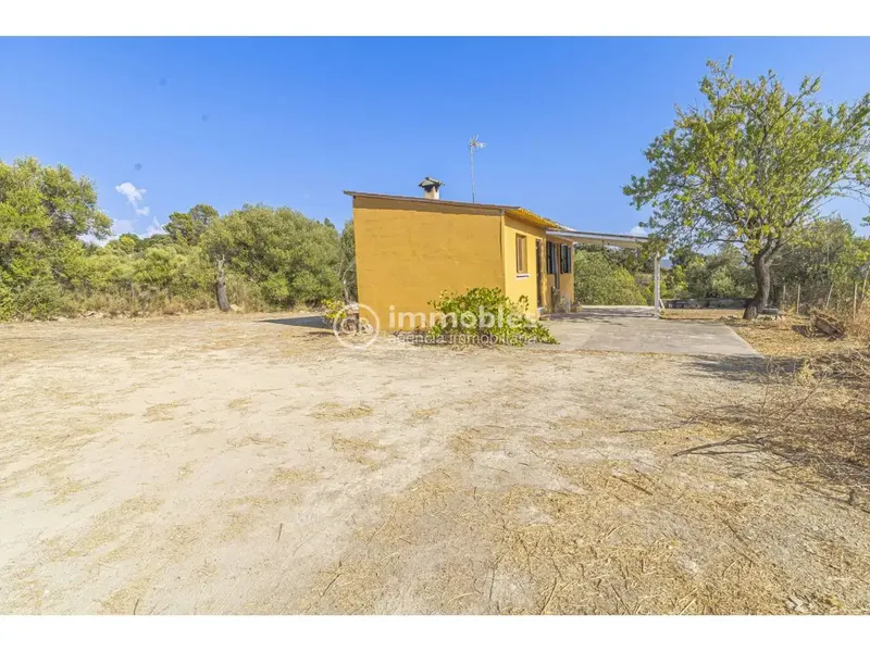 Rustic finca with beautiful views in Alaró — photo 5