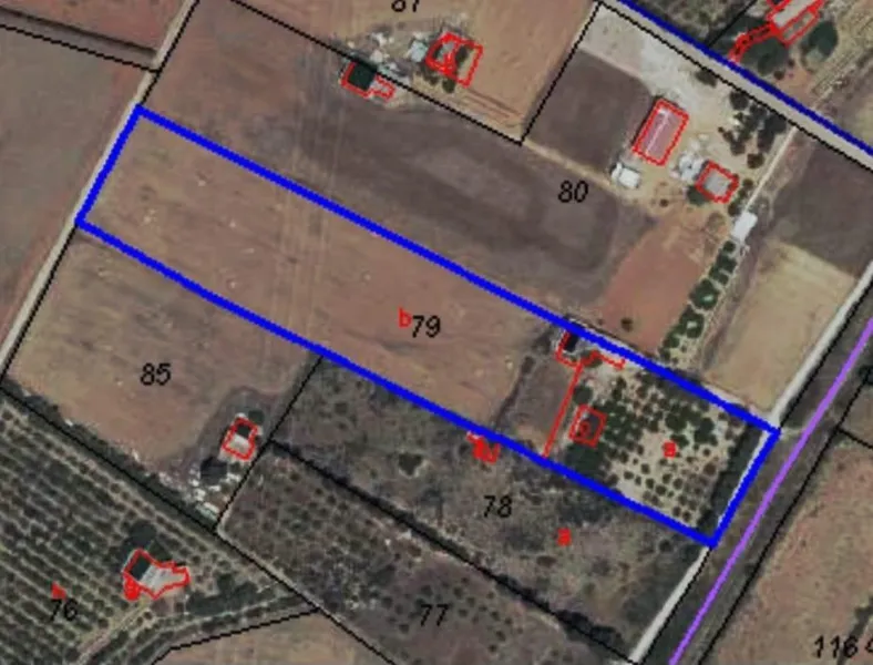 Rustic property - Muro, Built Surface 202m², Plot Surface 14186m² — photo 5