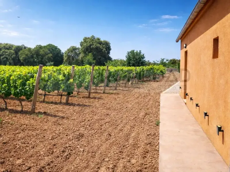 Charming winery with its own production located on a 13,599 m² rustic estate in Costitx, in the very heart of Mallorca. Surrounded by a p — photo 2