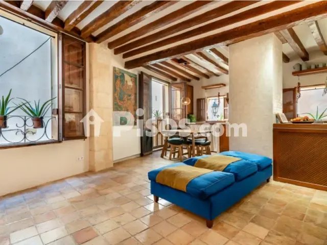 Apartment in La Seu — photo 1